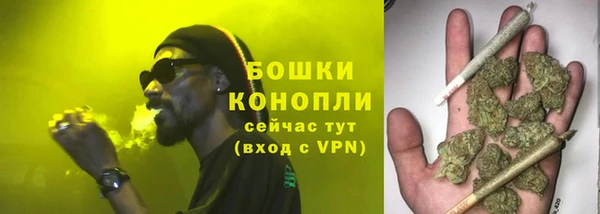 гидра Магас