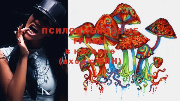 MESCALINE Медвежьегорск