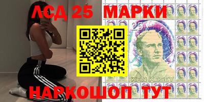 индика Кингисепп