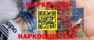 индика Кингисепп