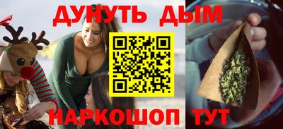индика Кингисепп