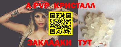 индика Кингисепп