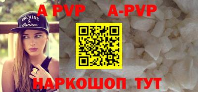 индика Кингисепп