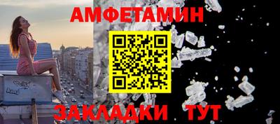 индика Кингисепп