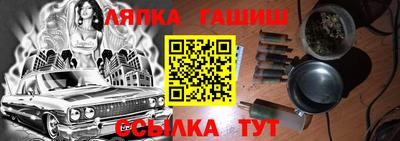 индика Кингисепп