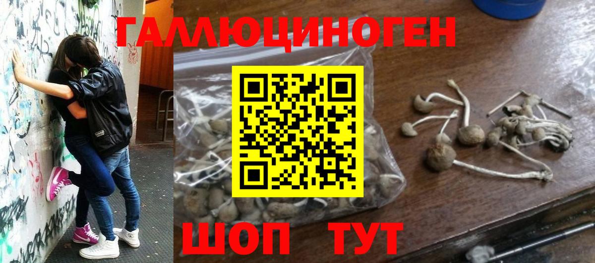 Галлюциногенные грибы MAGIC MUSHROOMS  магазин  наркотиков  Шарыпово 