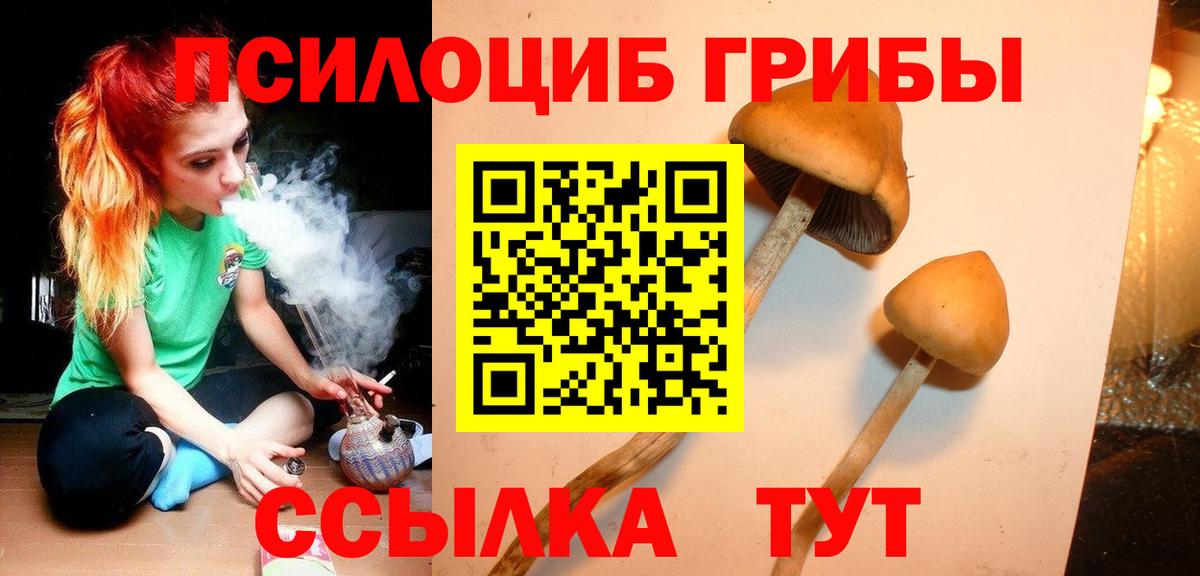 Галлюциногенные грибы мухоморы  Галлюциногенные грибы Psilocybe  Шарыпово  Вход с VPN 