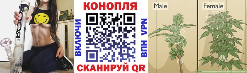 MEGA ONION  наркотики  Шарыпово  Шишки марихуана AK-47 
